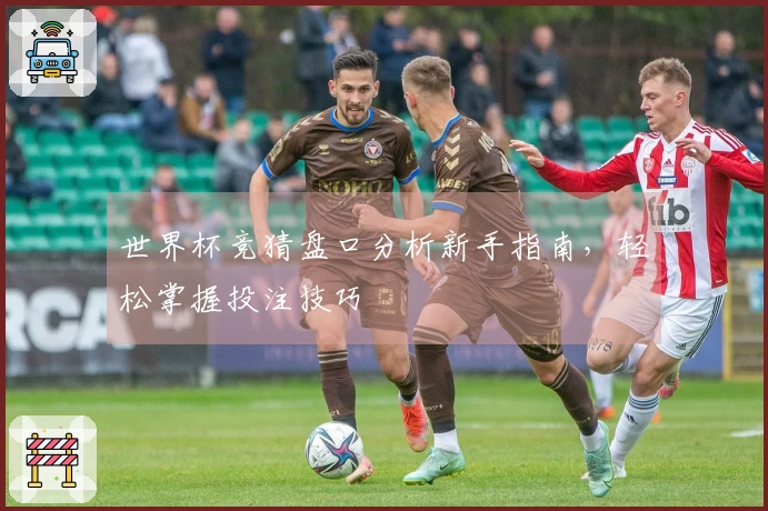 世界杯竞猜盘口分析新手指南，轻松掌握投注技巧