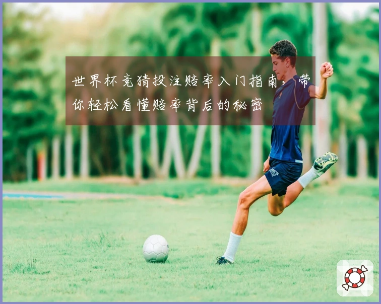 世界杯竞猜投注赔率入门指南，带你轻松看懂赔率背后的秘密
