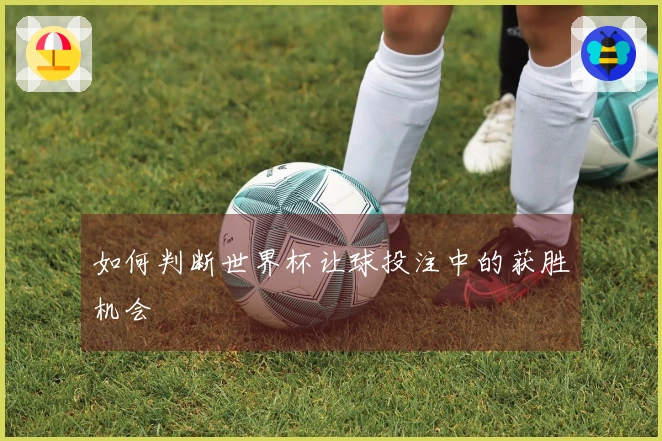 如何判断世界杯让球投注中的获胜机会