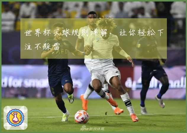 世界杯买球规则详解，让你轻松下注不踩雷