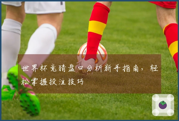 世界杯竞猜盘口分析新手指南，轻松掌握投注技巧